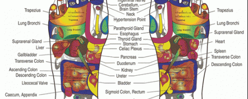 Banner Image for Reflexology
