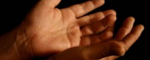 photo of hands