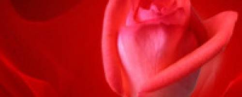 Love's Symbol