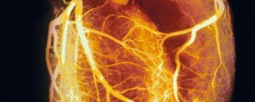 Banner Image for How Massage Can Benefit Your Heart