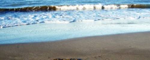 Banner Image for Giving Thanks: Appreciate More, Worry Less